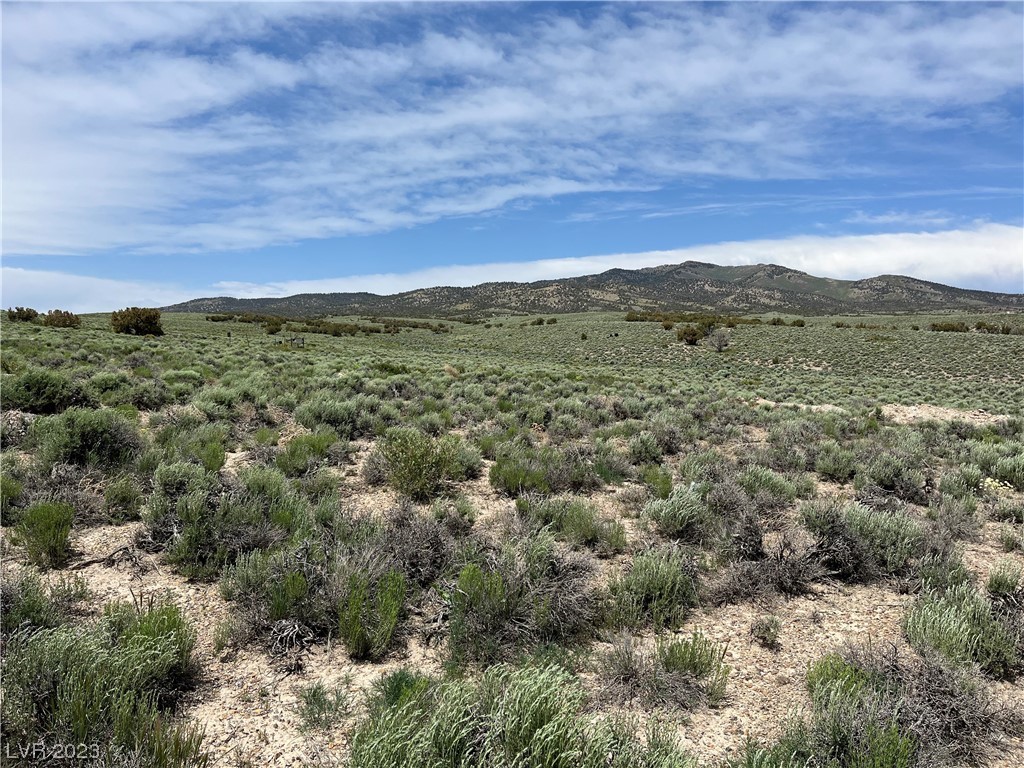 20 Acres Off Grid Montello, NV 89830 - Photo 11 of 18