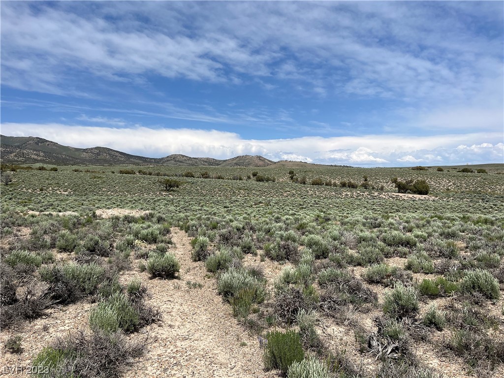 20 Acres Off Grid Montello, NV 89830 - Photo 12 of 18