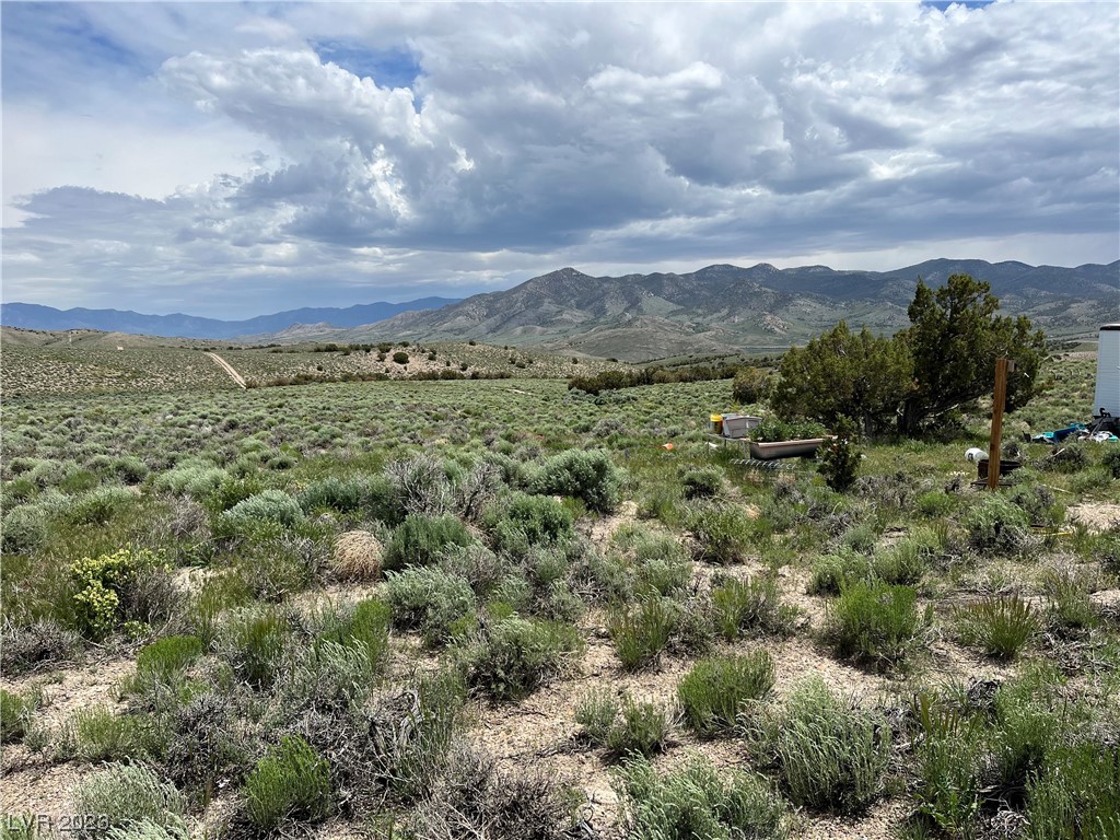 20 Acres Off Grid Montello, NV 89830 - Photo 13 of 18