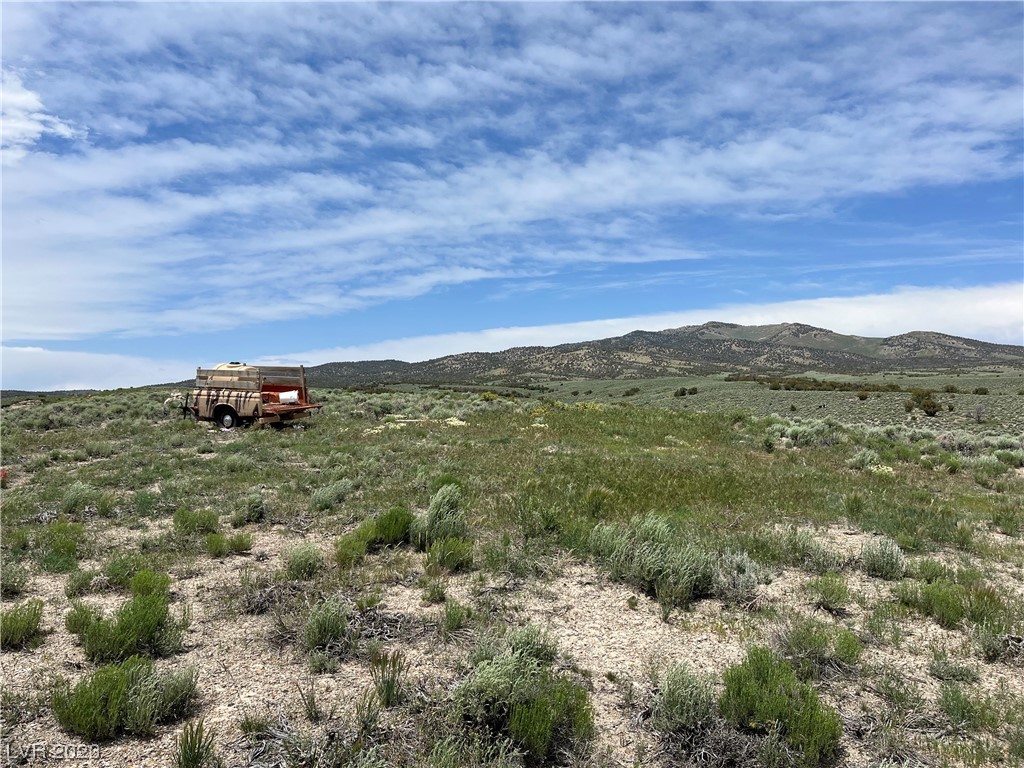 20 Acres Off Grid Montello, NV 89830 - Photo 18 of 18