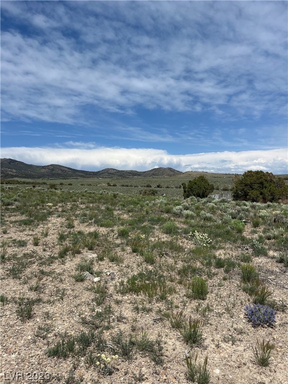 20 Acres Off Grid Montello, NV 89830 - Photo 2 of 18