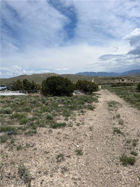 20 Acres Off Grid Montello, NV 89830 - Photo 3 of 18