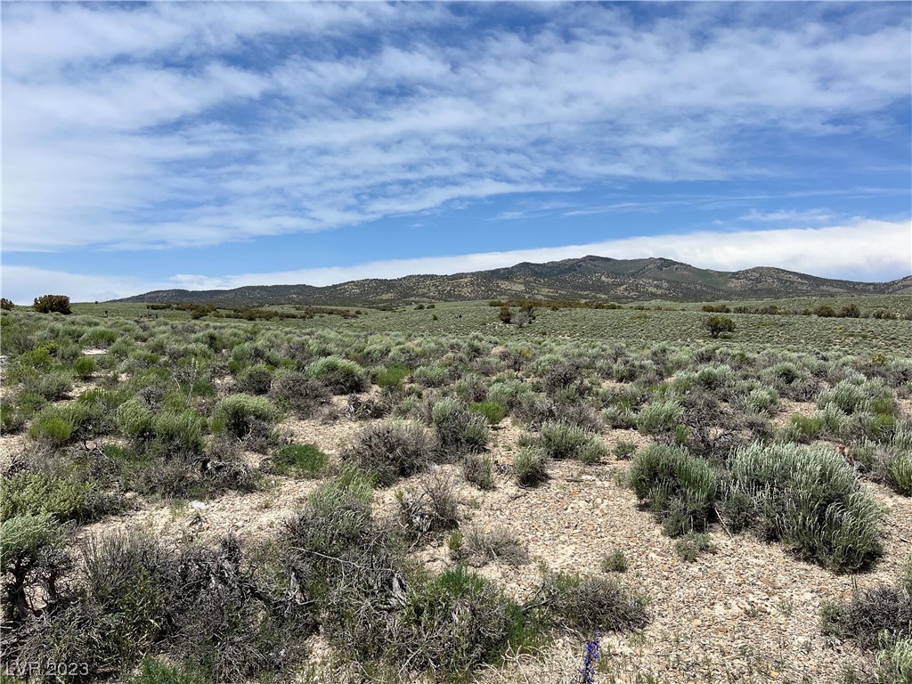 20 Acres Off Grid Montello, NV 89830 - Photo 9 of 18