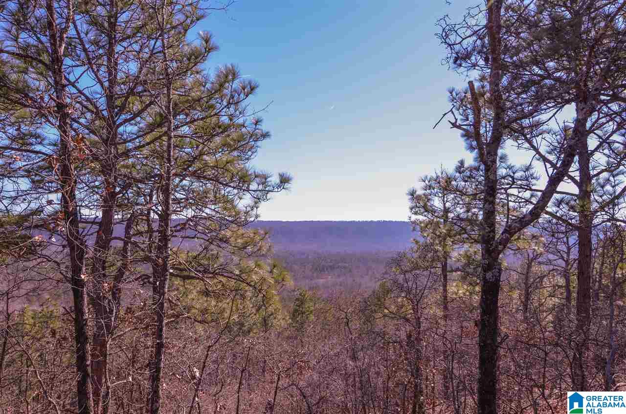 0 Springstone Trail, Unit 6 Leeds, AL 35094 - Photo 6 of 7