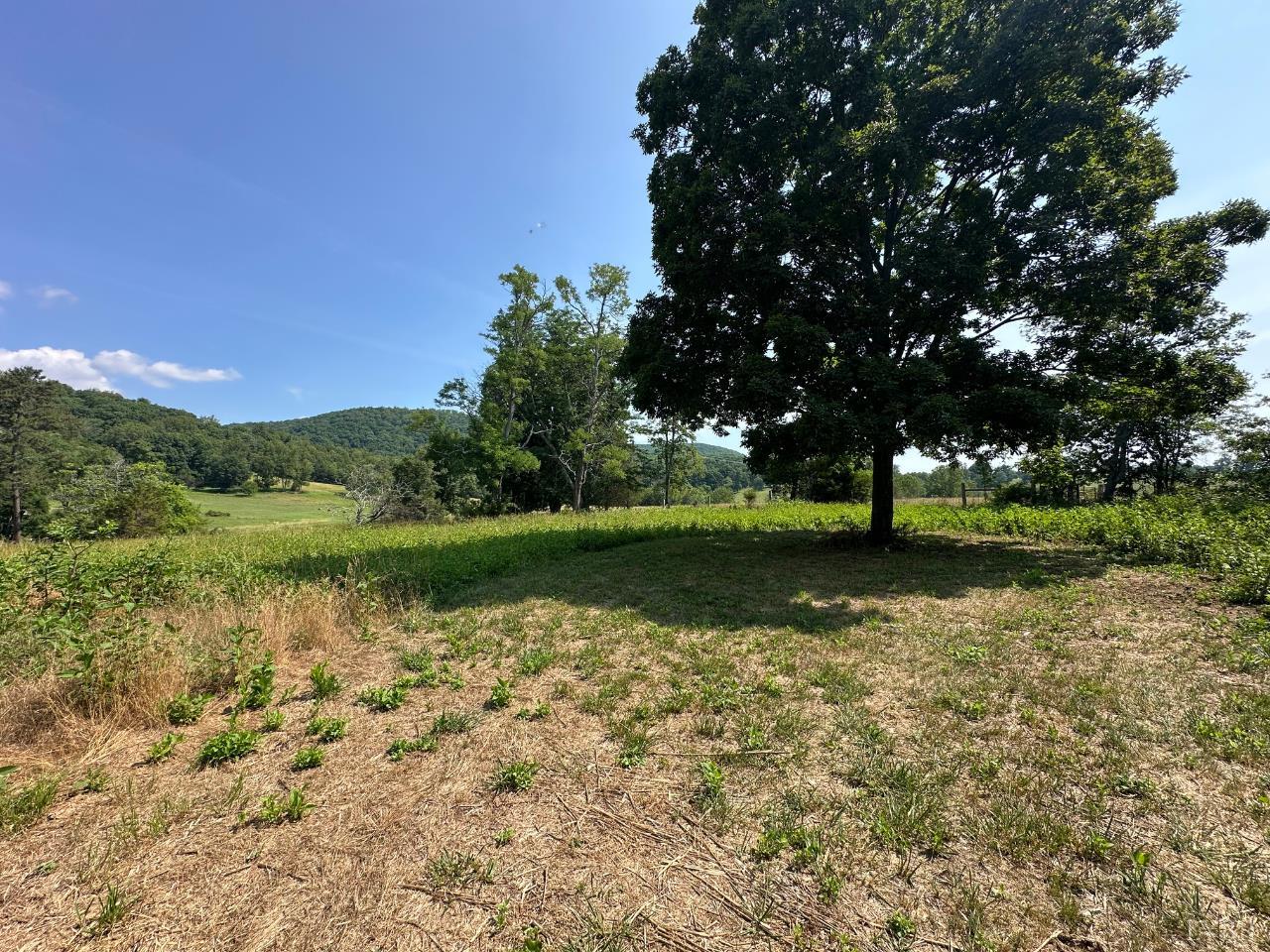 2225 Irving Road Thaxton, VA 24174 - Photo 36 of 45