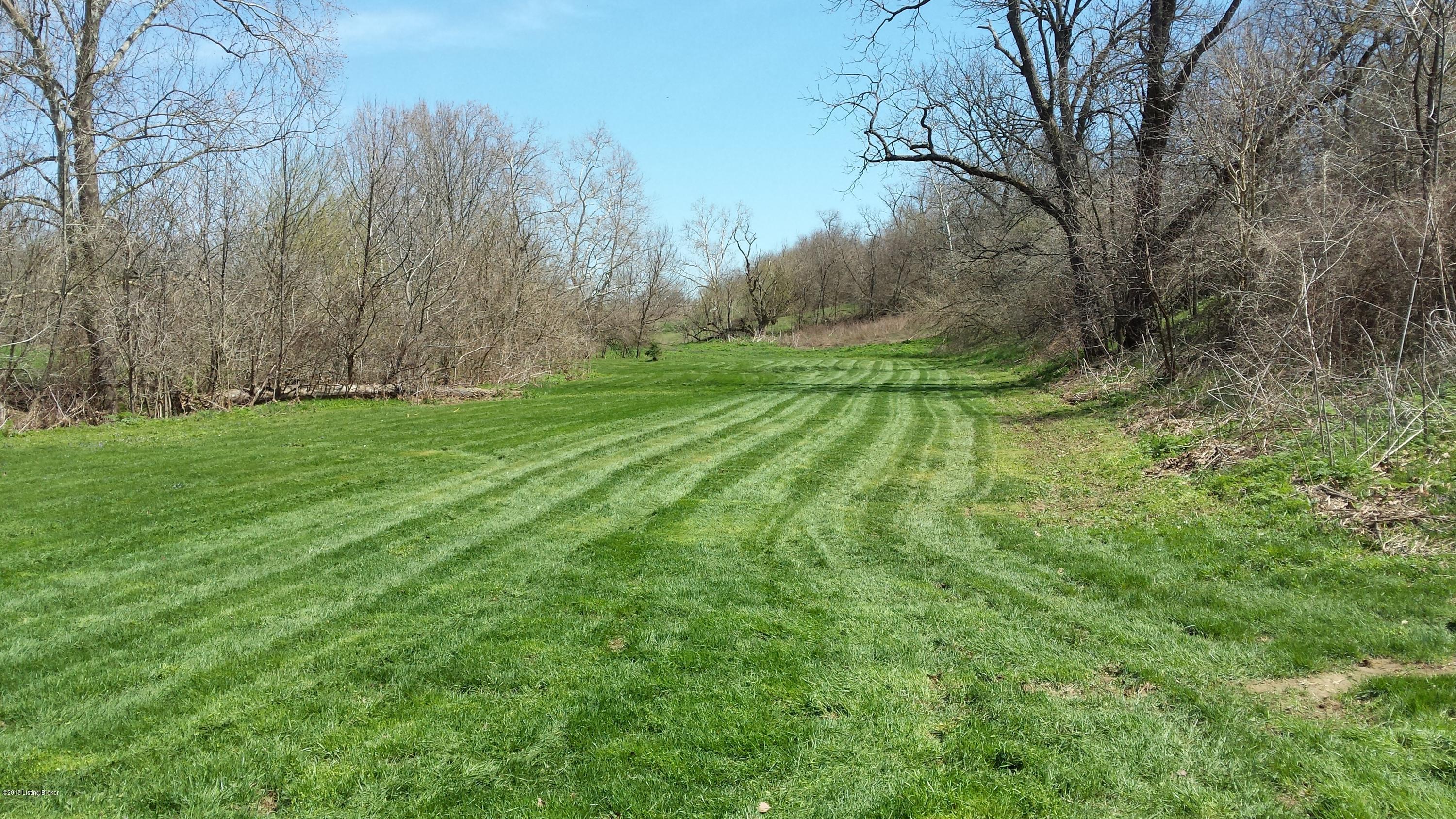 1167 Harley-Thompson Road Bagdad, KY 40003 - Photo 4 of 21 20150412_132054