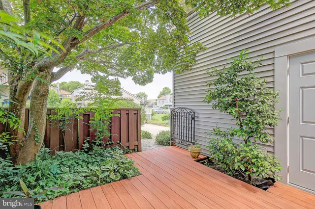 a view of a house with a yard and large tree