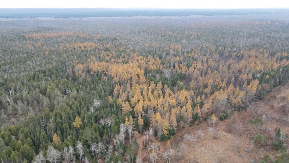 Vl Riverview Road Southeast Kalkaska, MI 49646 - Photo 33 of 40