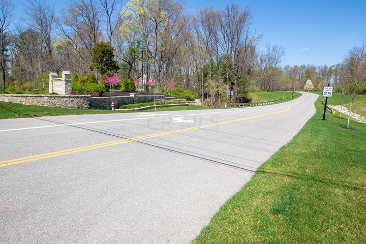 1145 Ruth Crossing Delaware, OH 43015 - Photo 4 of 9 cl4