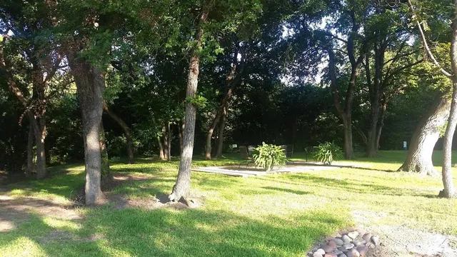 a view of a park with tree s