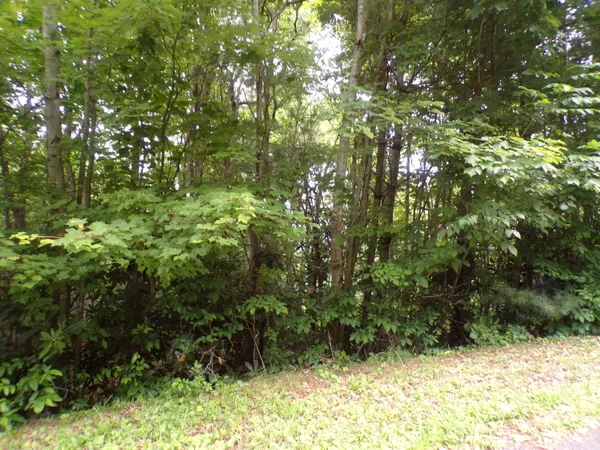 $68,900 | 0 Callalantee Drive, Unit R16, Mountain City, TN 37683