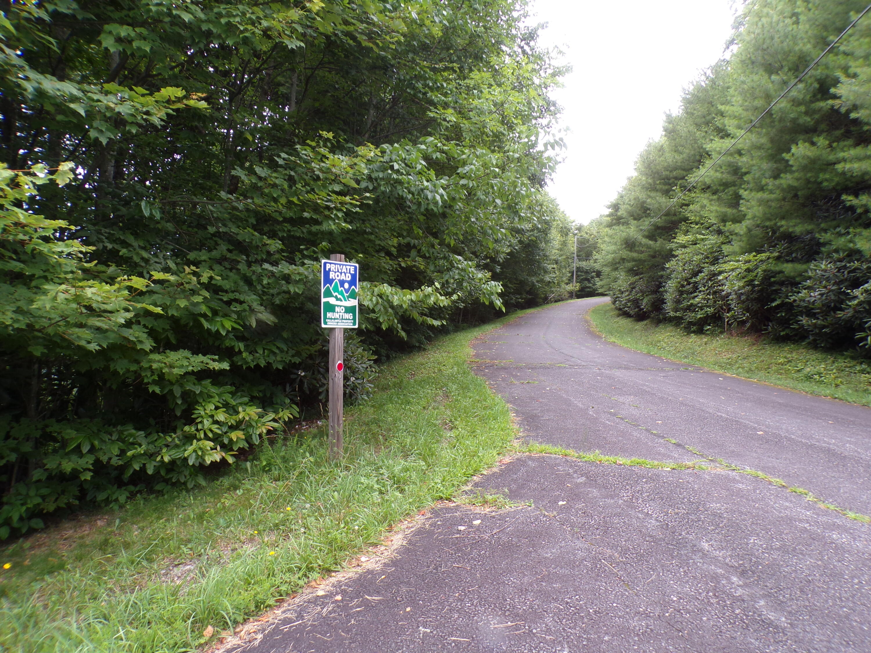 0 Callalantee Drive, Unit R16 Mountain City, TN 37683 - Photo 3 of 6 103_7634