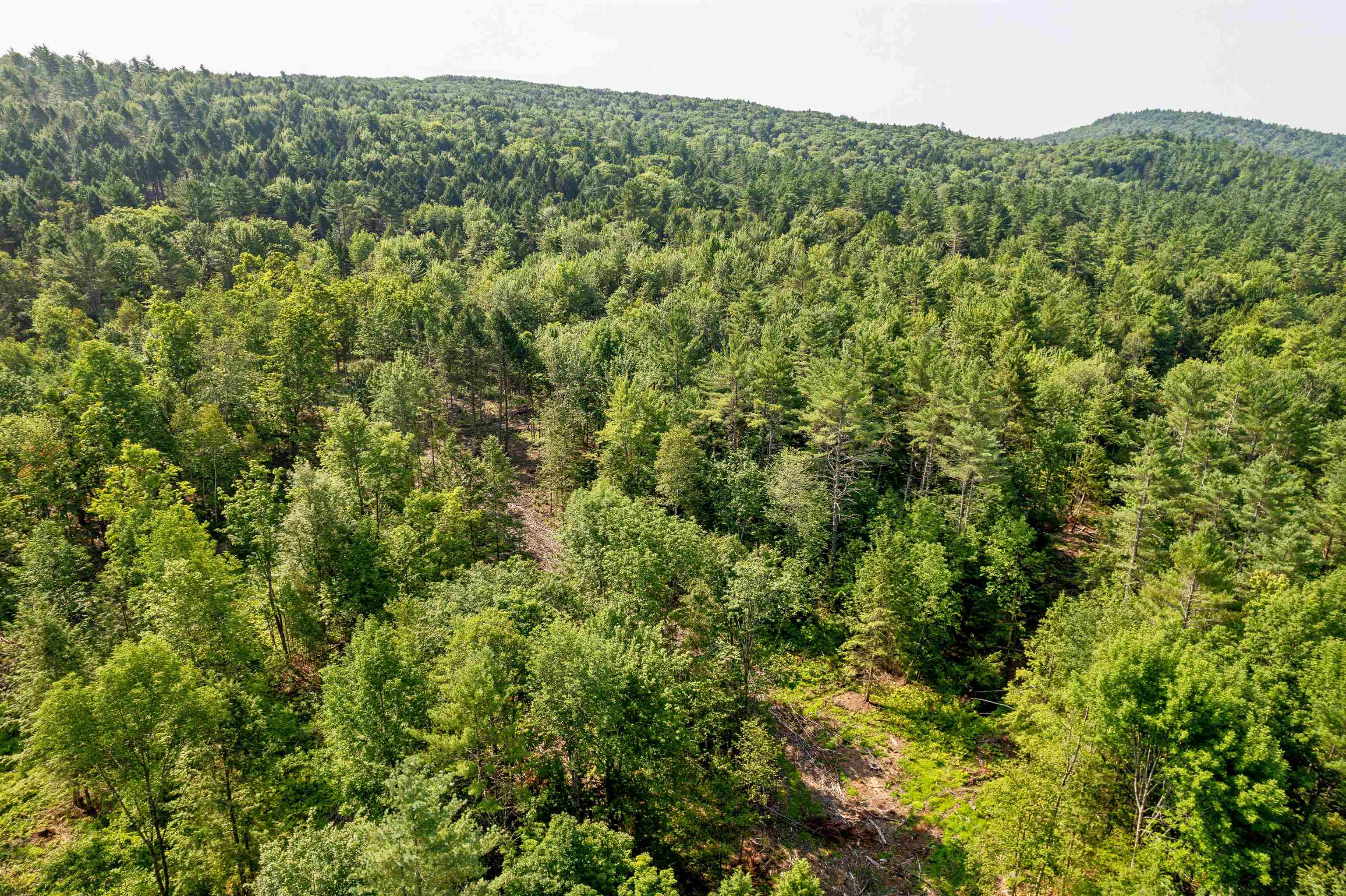 0 Court Street, Unit 3 Haverhill, NH 03765 - Photo 7 of 10