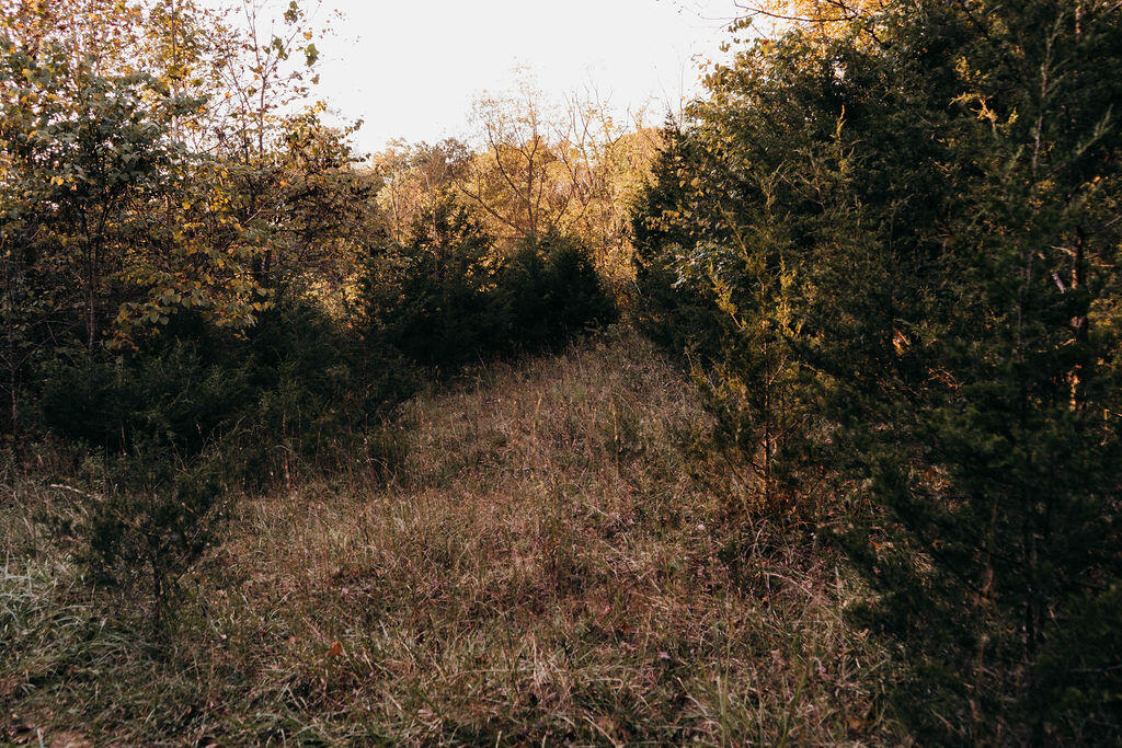 3794 Fall Lick Road Lancaster, KY 40444 - Photo 17 of 24 F0FAEC01-6133-4467-B6A8-46F62431A7AA