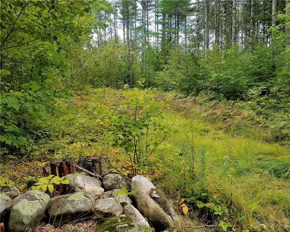 0 Dorr Road Wiscasset, ME 04578 - Photo 4 of 7 Photo