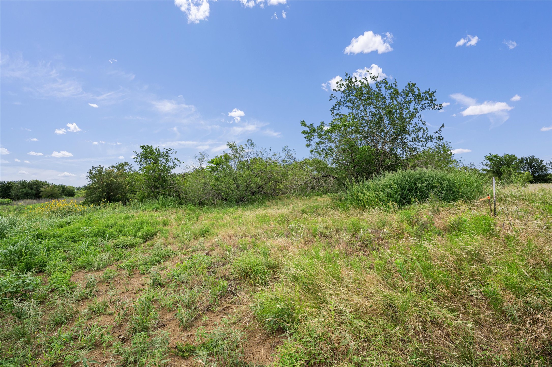3315 County Road 463 Elgin, TX 78621 - Photo 25 of 32 A tranquil, undeveloped expanse of land awaits your vision.