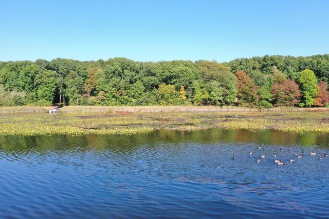 $309,500 | Lake Street, Grand Junction, MI 49056