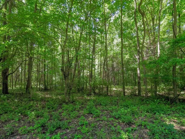 $309,500 | Lake Street, Grand Junction, MI 49056