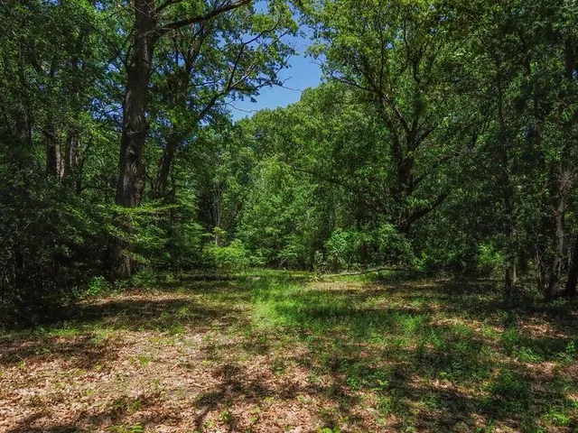 $309,500 | Lake Street, Grand Junction, MI 49056