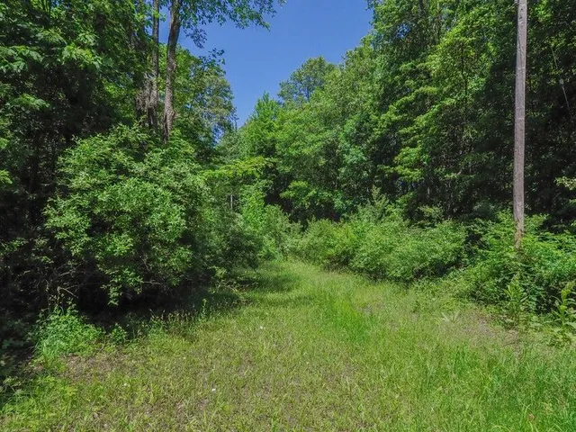 $309,500 | Lake Street, Grand Junction, MI 49056