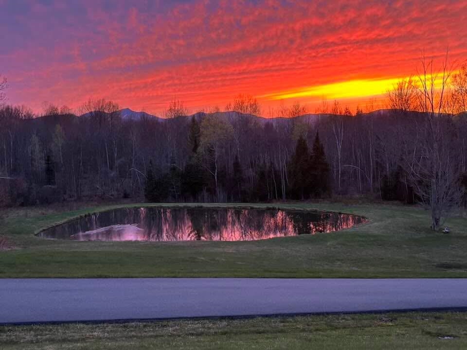 1165 Vermont Rte 100 Newport Town, VT 05857 - Photo 8 of 46