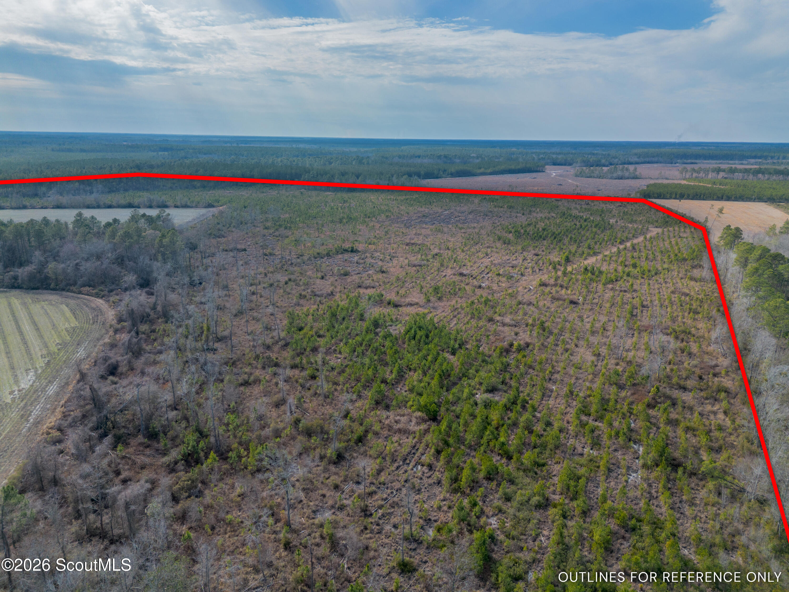 0 Reddish Road Odum, GA 31555 - Photo 10 of 46 230-AC-REDDISH-ODUM-9