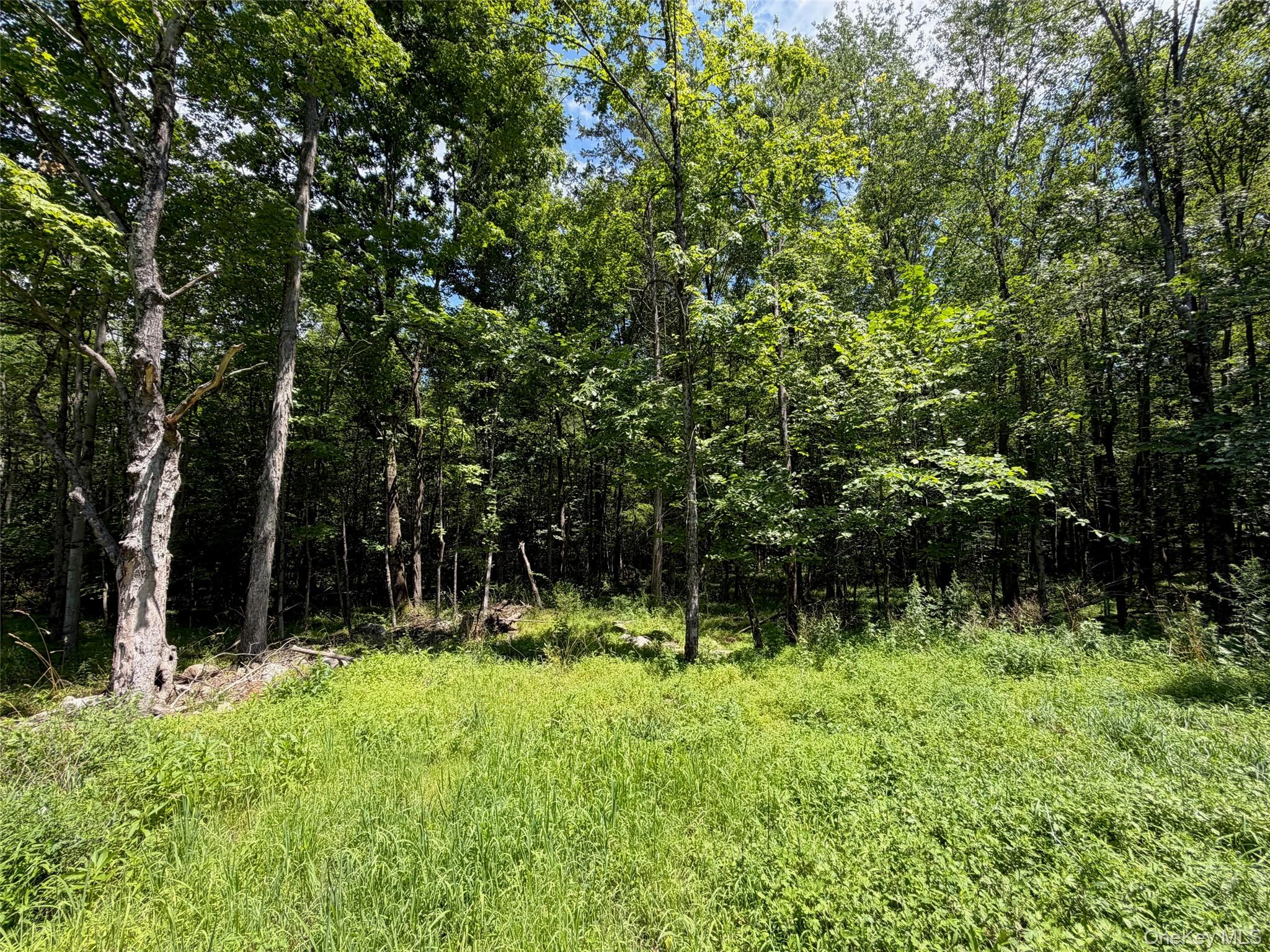 276 Tillson Lake Road Gardiner, NY 12589 - Photo 14 of 21 Wooded area