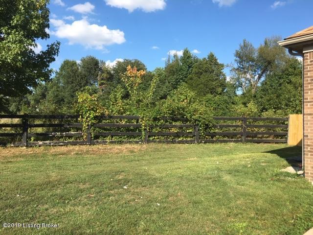 11101 Meadow Run Road Louisville, KY 40229 - Photo 42 of 45 39_SideYard