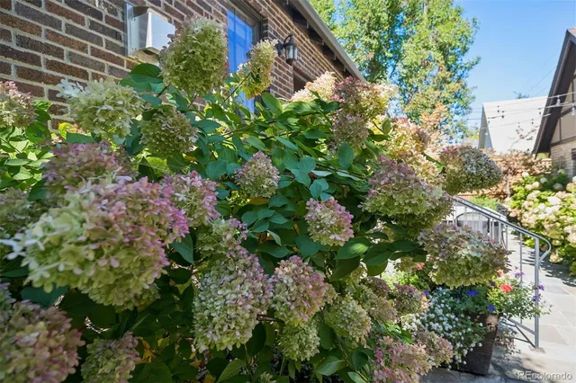 $1,950,000 | 340 South Race Street, Denver, CO 80209