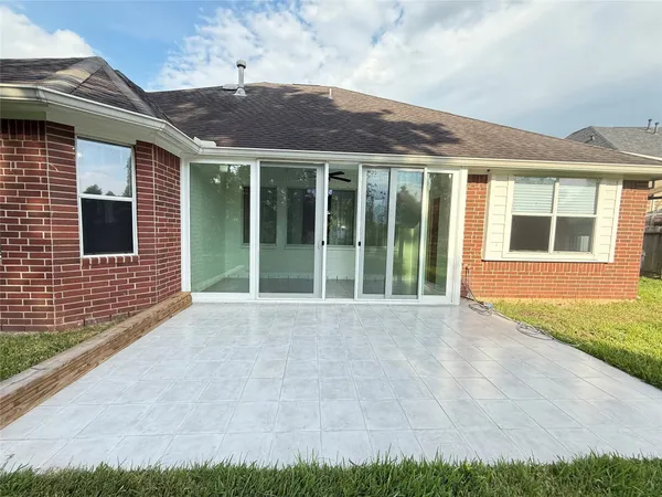 a view of a garden with plants and large trees