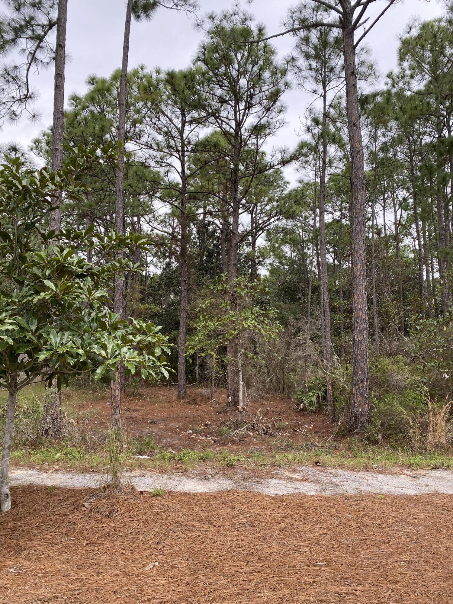 8 Marlberry Santa Rosa Beach Santa Rosa Beach, FL 32459 - Photo 8 of 9 Gallery Image 8