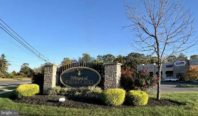 a garden view with a sitting space