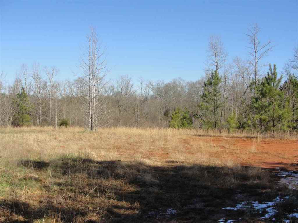 750 Griffin Road Belton, SC 29627 - Photo 3 of 5