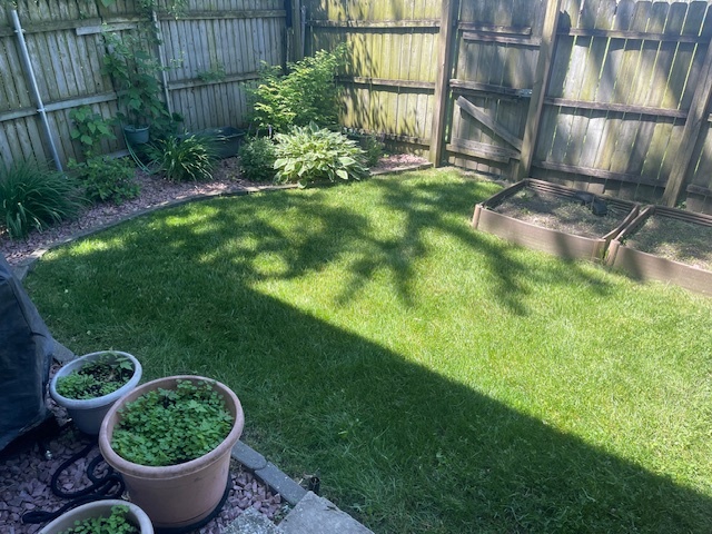 1135 Williamsburg Road Country Club Hills, IL 60478 - Photo 30 of 32