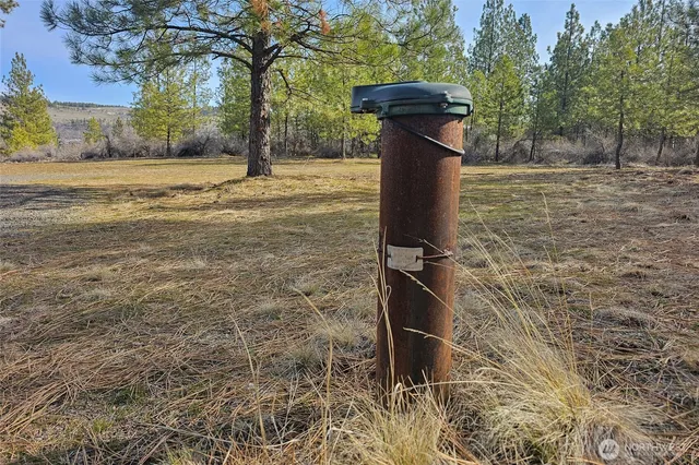 a fire hydrant in the middle of a field