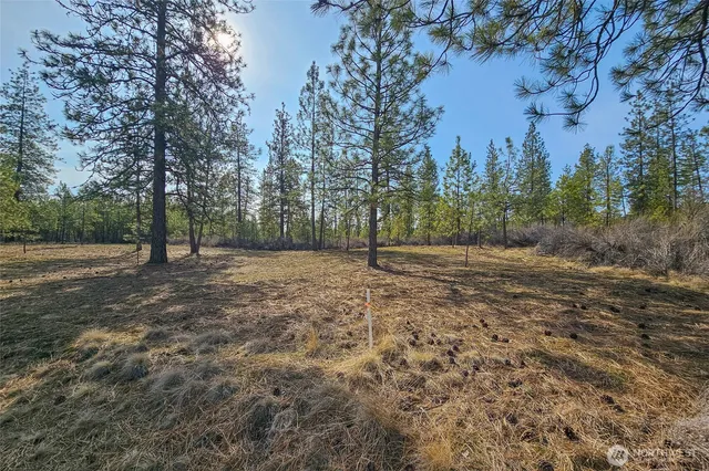 a view of outdoor space with trees