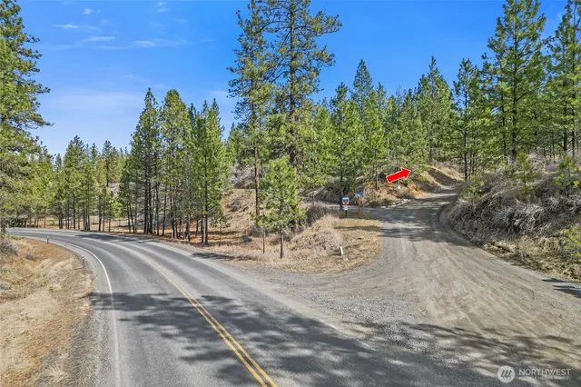 a view of a road with a yard