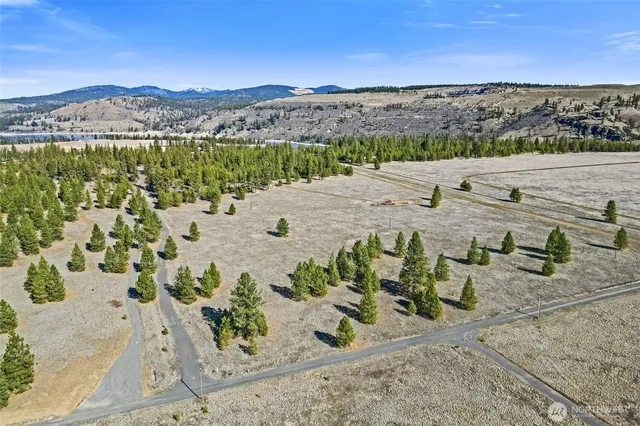 a view of a lake with a mountain
