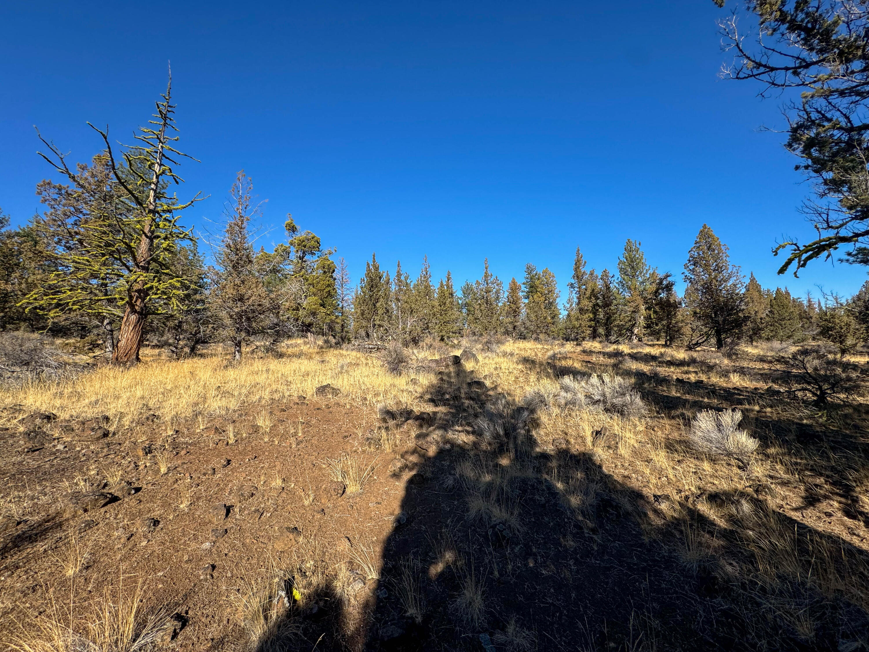 17390 Big Buck Road Sisters, OR 97759 - Photo 12 of 35 13790 Big Buck rd-29