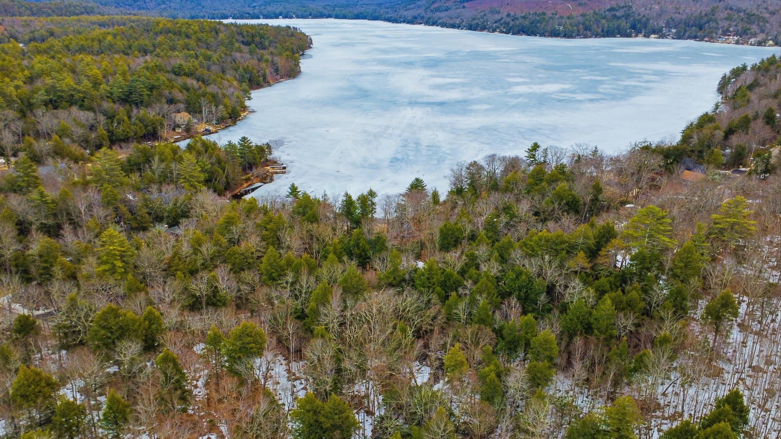 101-15 North Shore Road New Durham, NH 03855 - Photo 6 of 14