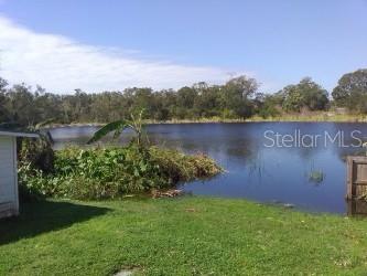 a view of a garden from a lake