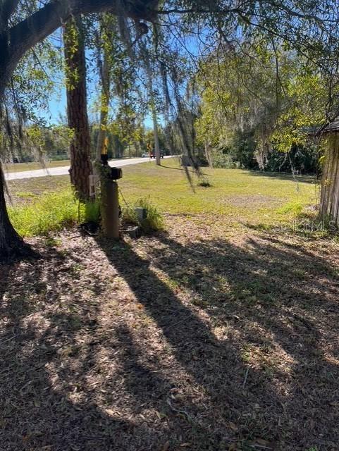 8841 South Mobley Road Odessa, FL 33556 - Photo 4 of 5 a view of a yard with a tree