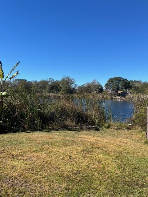 8841 South Mobley Road Odessa, FL 33556 - Photo 5 of 5 a view of a yard