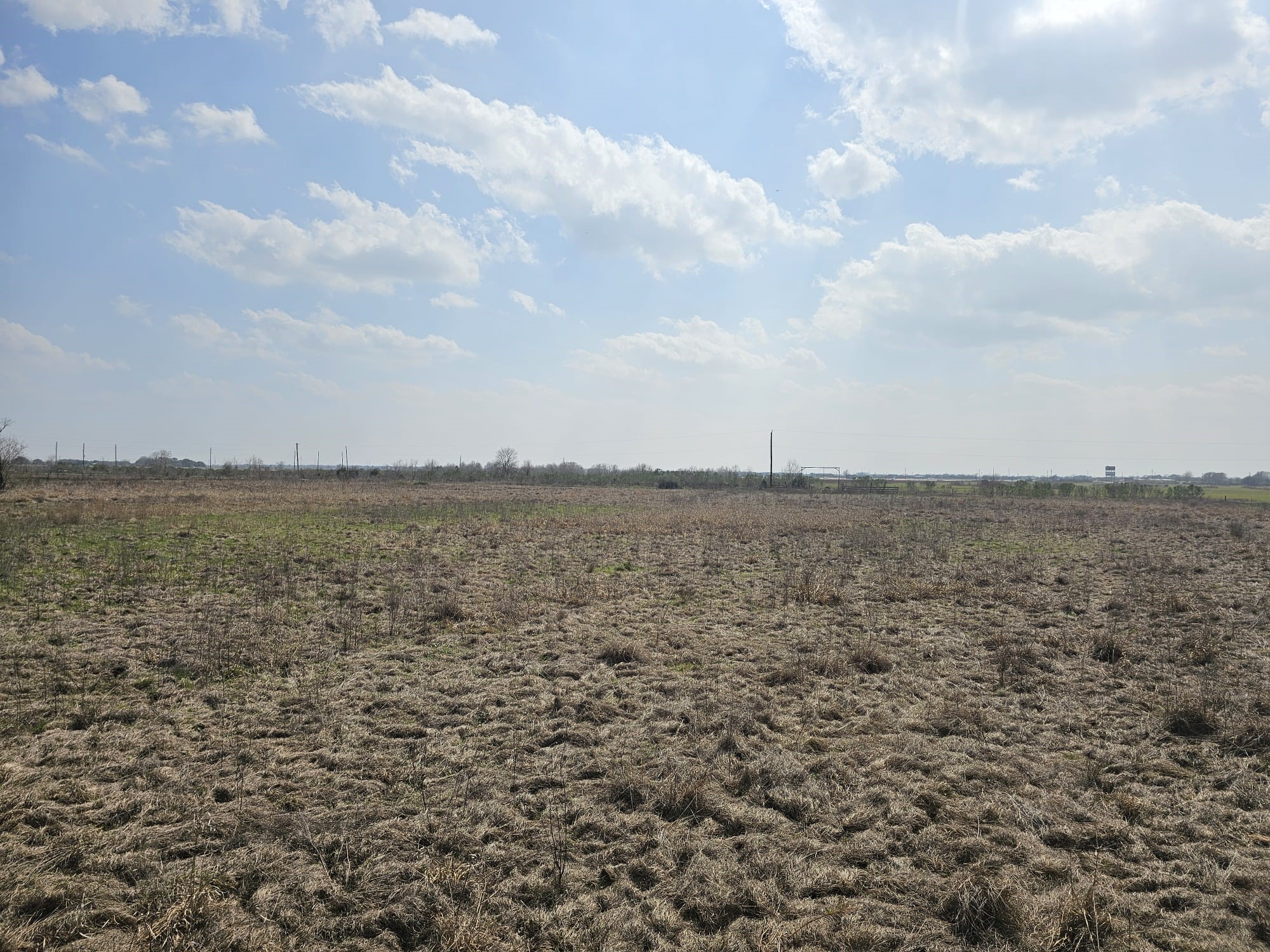 889 Old Columbus Road North Sealy, TX 77474 - Photo 2 of 10