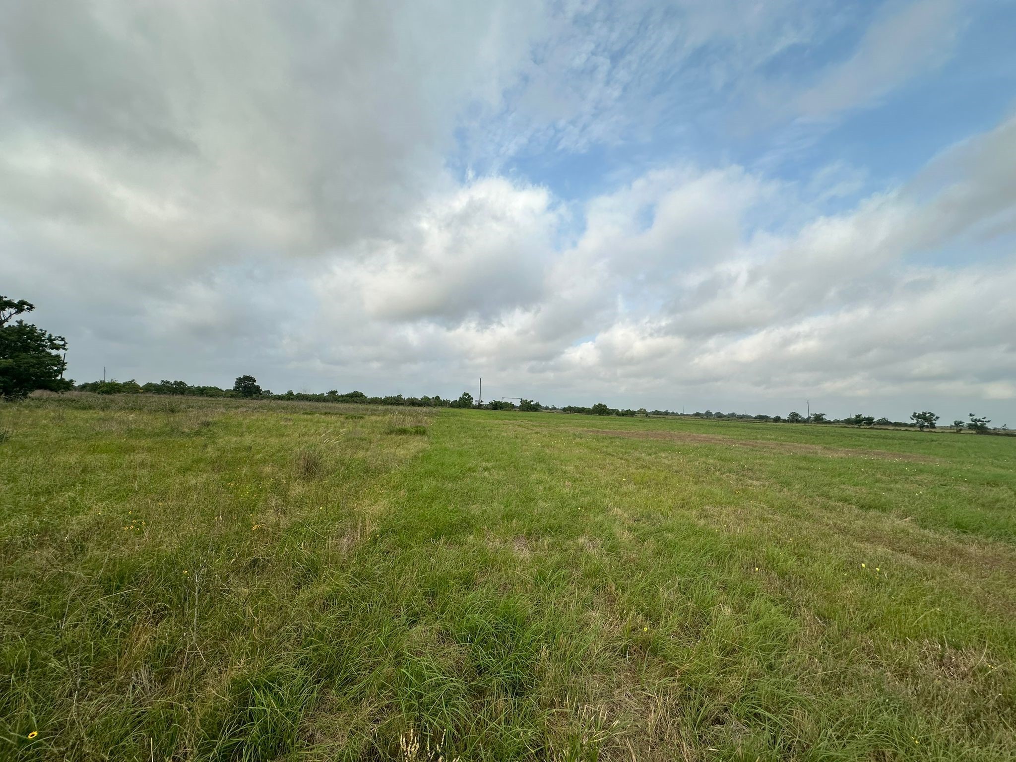 889 Old Columbus Road North Sealy, TX 77474 - Photo 5 of 10