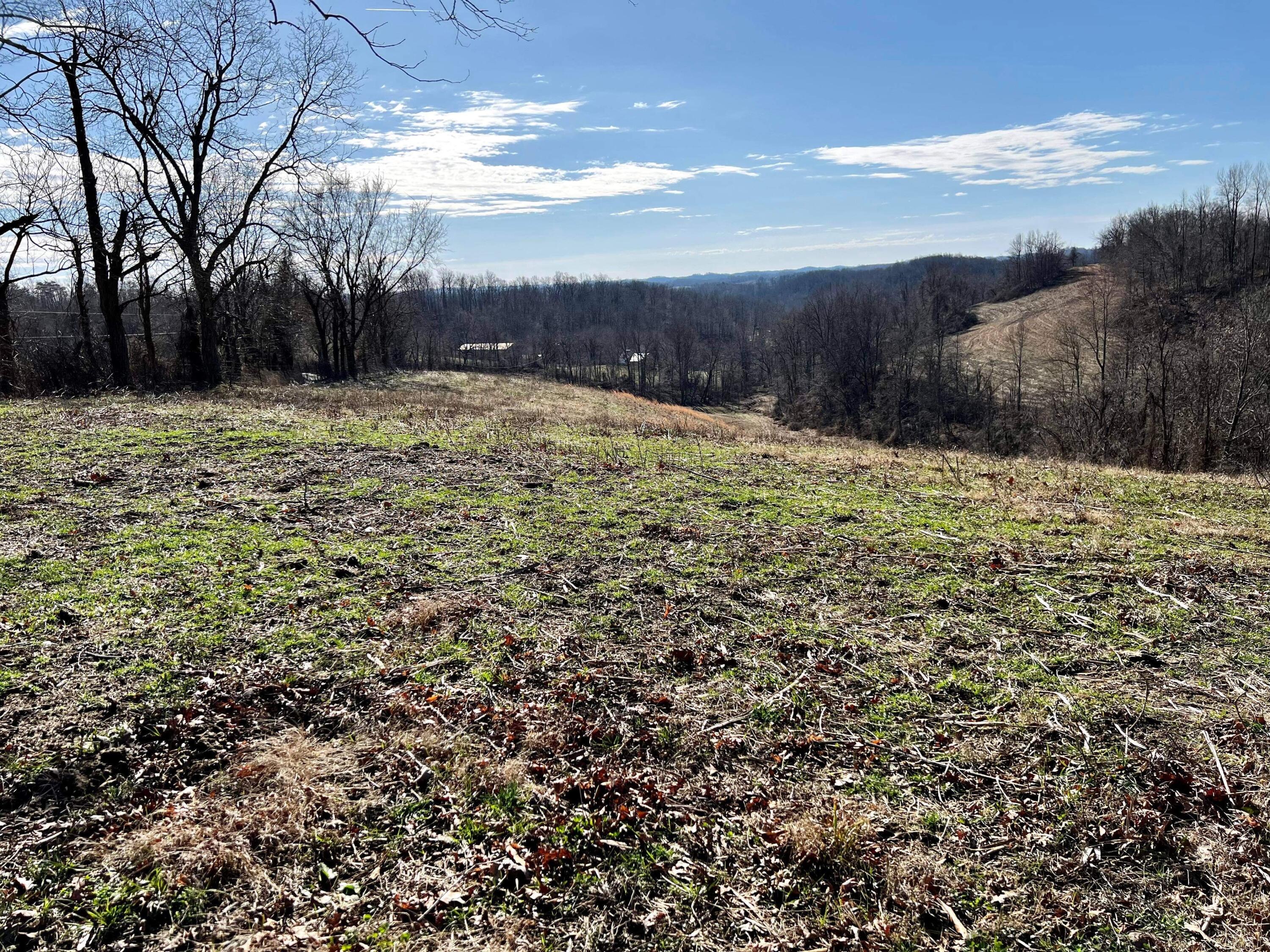 812 Stringtown Road Sandy Hook, KY 41171 - Photo 83 of 154 IMG_6150