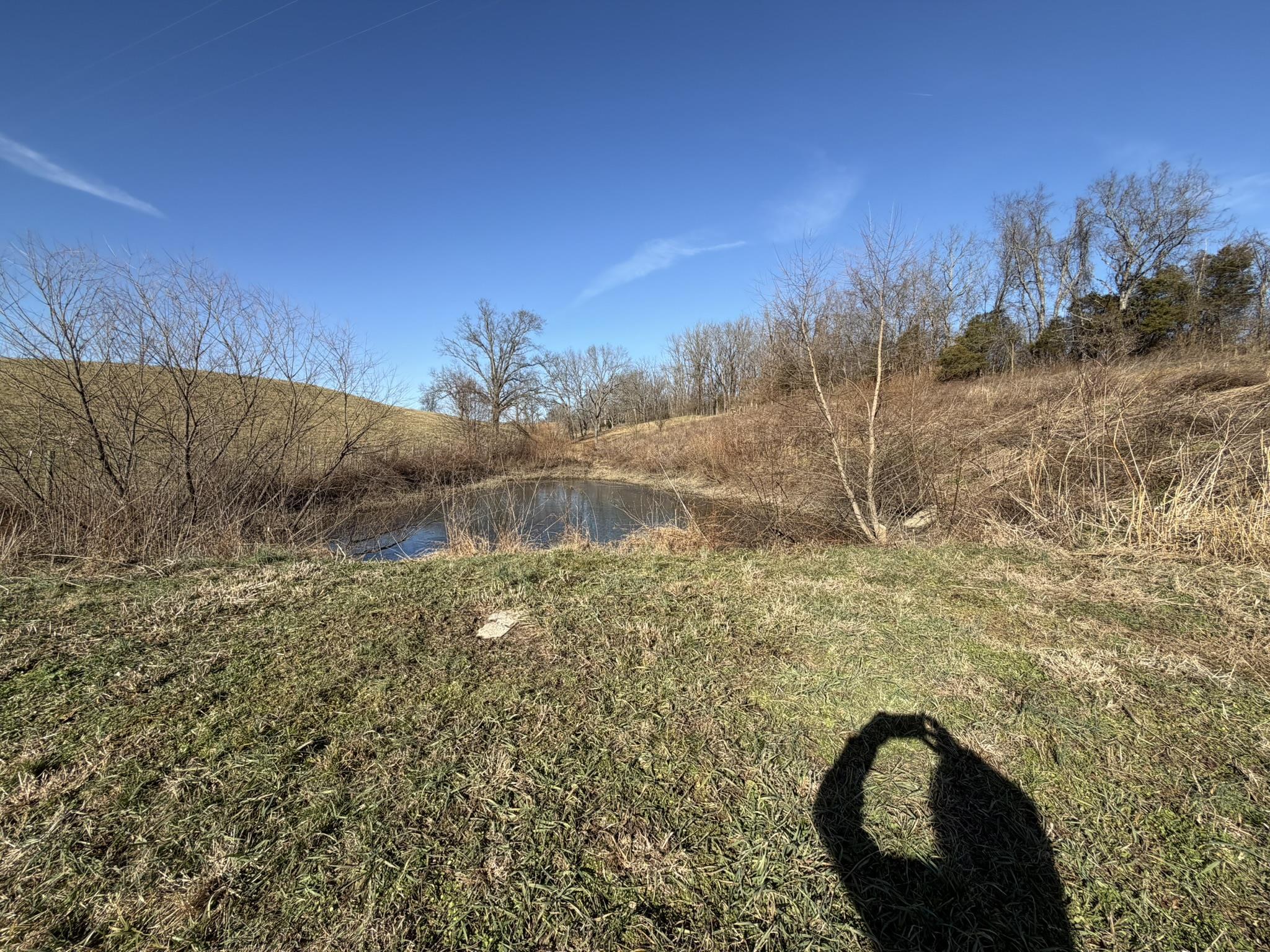 4983 Donaldson Road Mount Sterling, KY 40353 - Photo 9 of 14