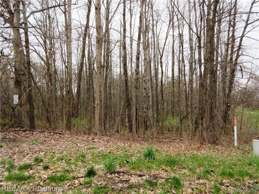 2 Maltby Road Brighton, MI 48116 - Photo 5 of 7