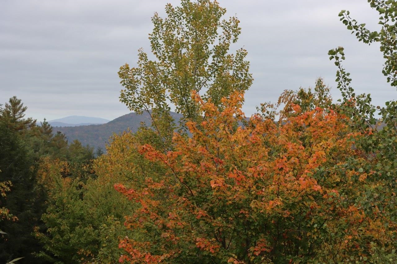 21 Stoddard Lane Rockingham, VT 05101 - Photo 6 of 23