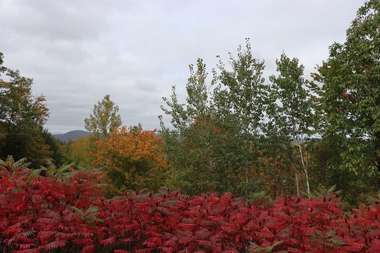 21 Stoddard Lane Rockingham, VT 05101 - Photo 7 of 23